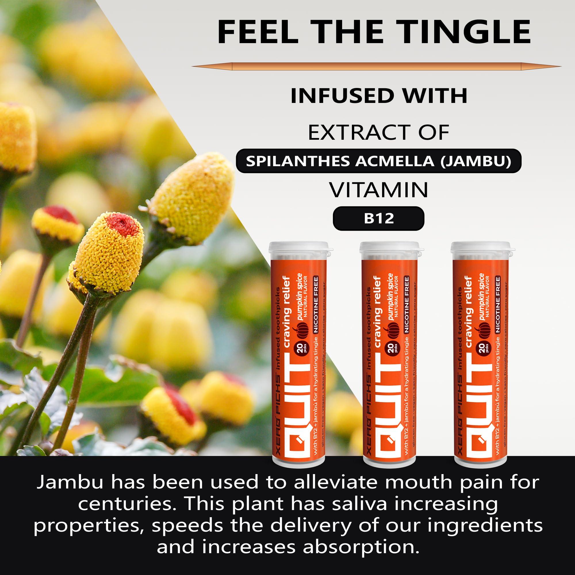 Xero Picks Xero Picks Quit Infused Flavored Toothpicks - Craving Relief (3 Pack of 20 Picks per, Pumpkin Spice) Non-GMO Kosher Vegan