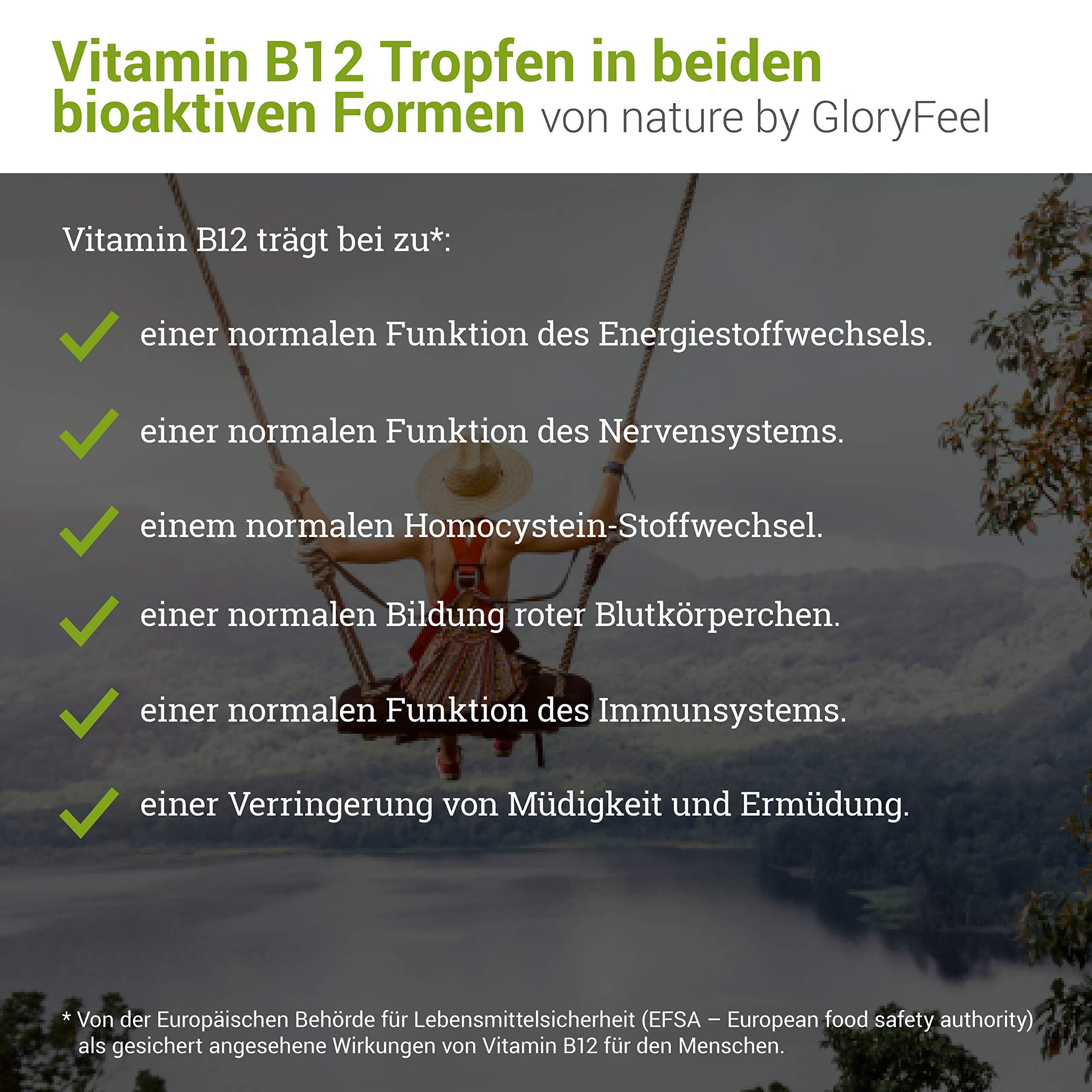 Gloryfeel Liquid Vitamin B12 Vegan Methylcobalamin Plus Adenosylcobalamin (50 ml) 1.000 g (High Strength) Vegan Energy & Sleep Sublingual Drops