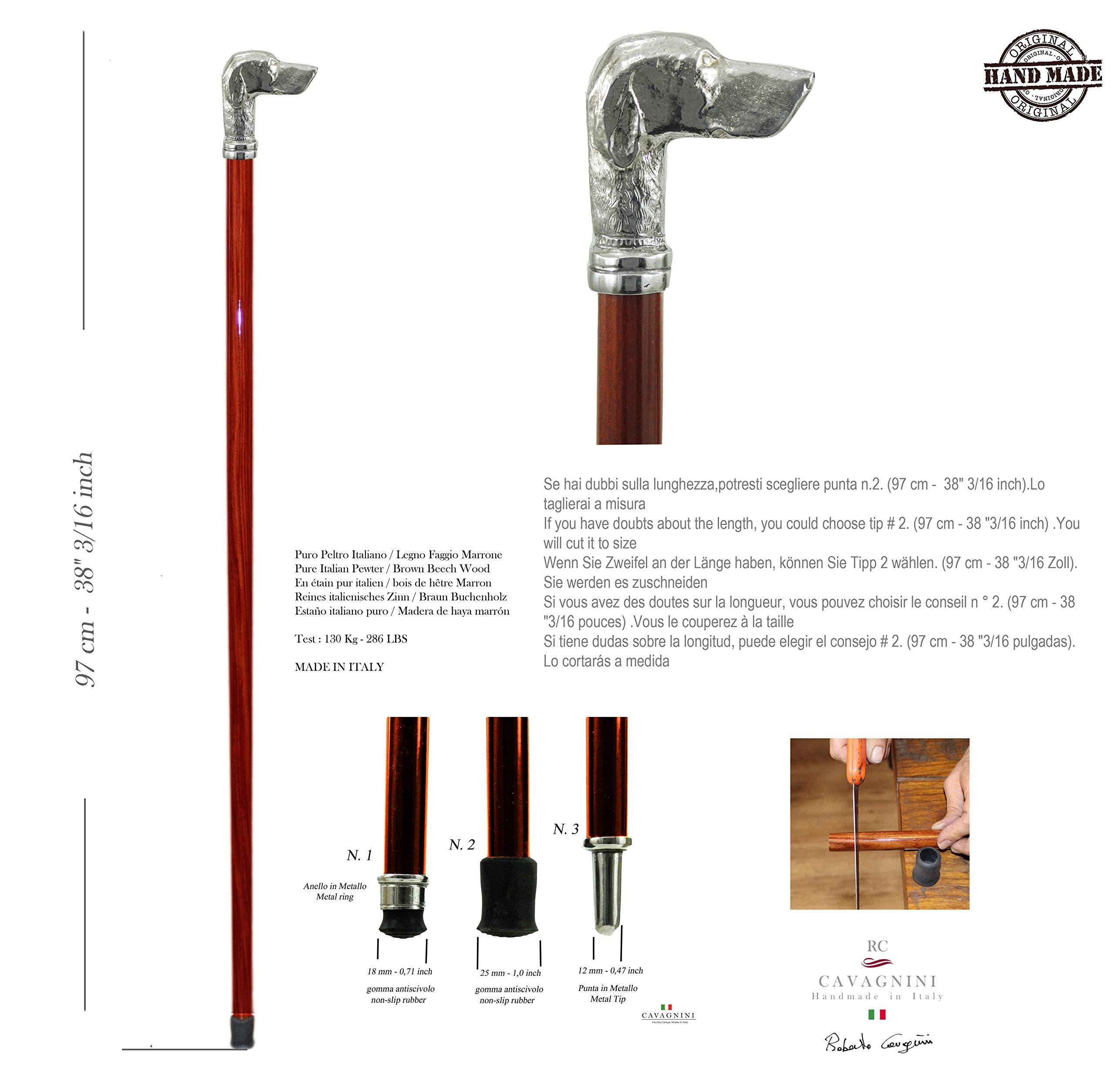 Cavagnini Cavagnini, Walking Stick, Pointer Dog, Customizable in Color, Length and tip, (Brown Beech (M))