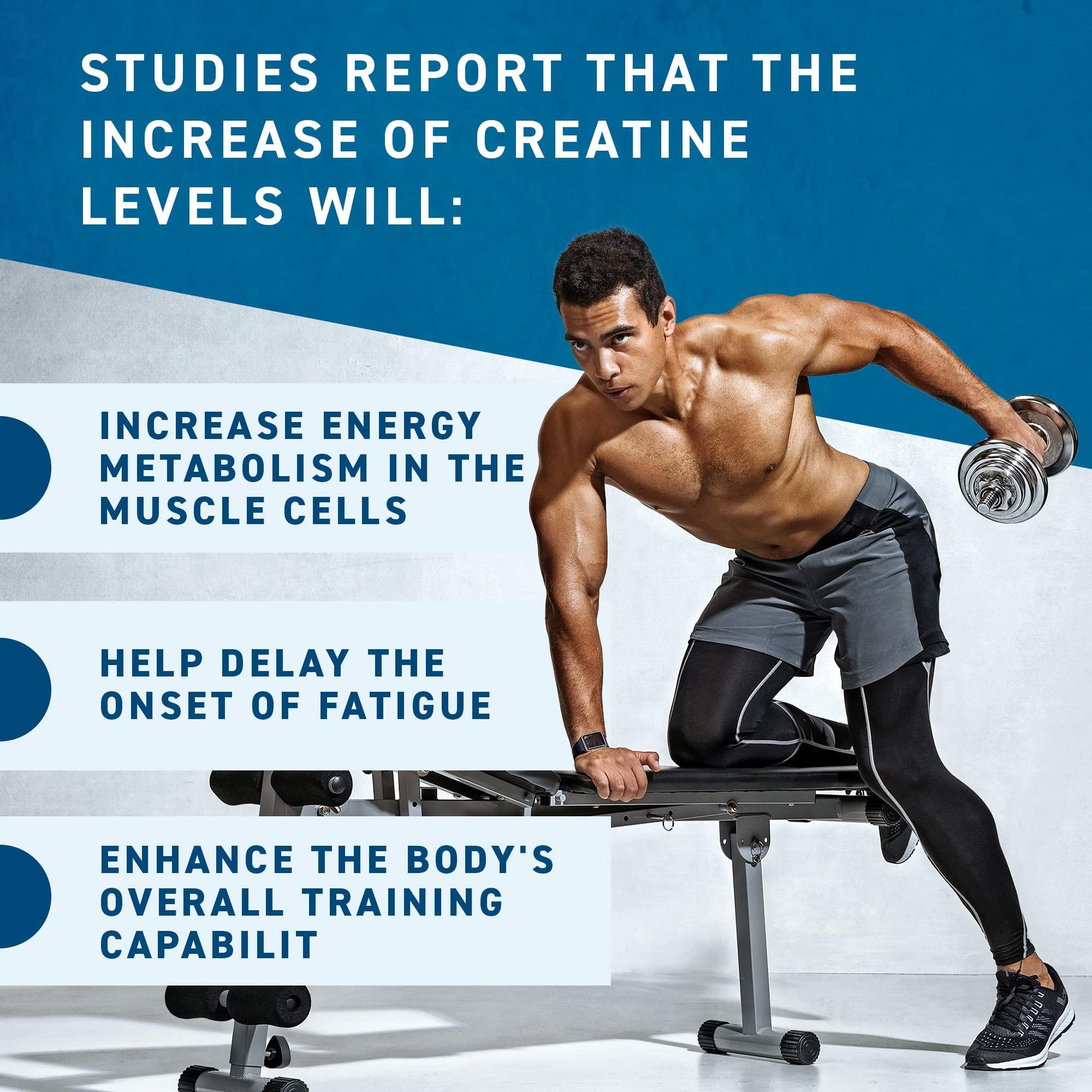 Applied Nutrition Applied Nutrition Creatine + 700ml Shaker | Creatine Monohydrate Micronized Powder with Flavour, Increases High-Intensity Physical Performance (250g - 50 Servings) (ICY Blue Razz)