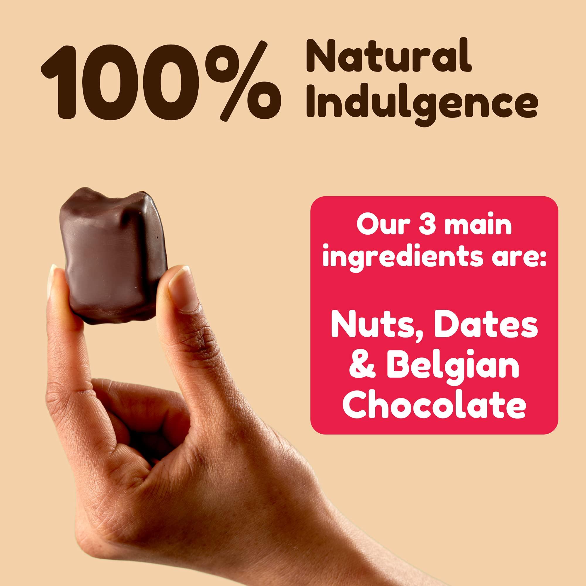 Vive Vive Dark Chocolate Coated Mixed Box Protein Bites - Gluten Free and Vegan - High Fibre Mini Protein Bars - Pack of 21