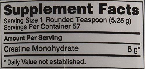 Optimum Nutrition Optimum Nutrition Micronized Creatine Powder 300 g