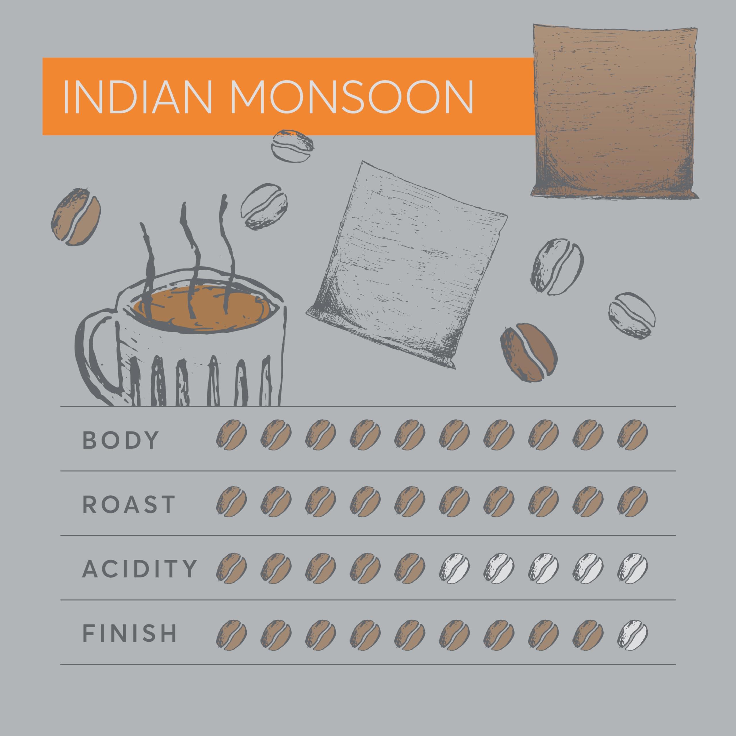 Dualit 50 Premium Indian Monsoon Coffee Bags by Dualit - Compostable Coffee Bag with Recyclable Sachet For Easy, Mess Free Coffee On The Go - Individually Wrapped for Freshness - Indian Monsoon