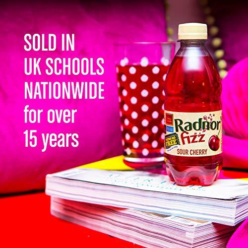 Radnor Hills Radnor Fizz Cherry NO ADDED SUGAR Juice Drink Multipack 24 x 330ml