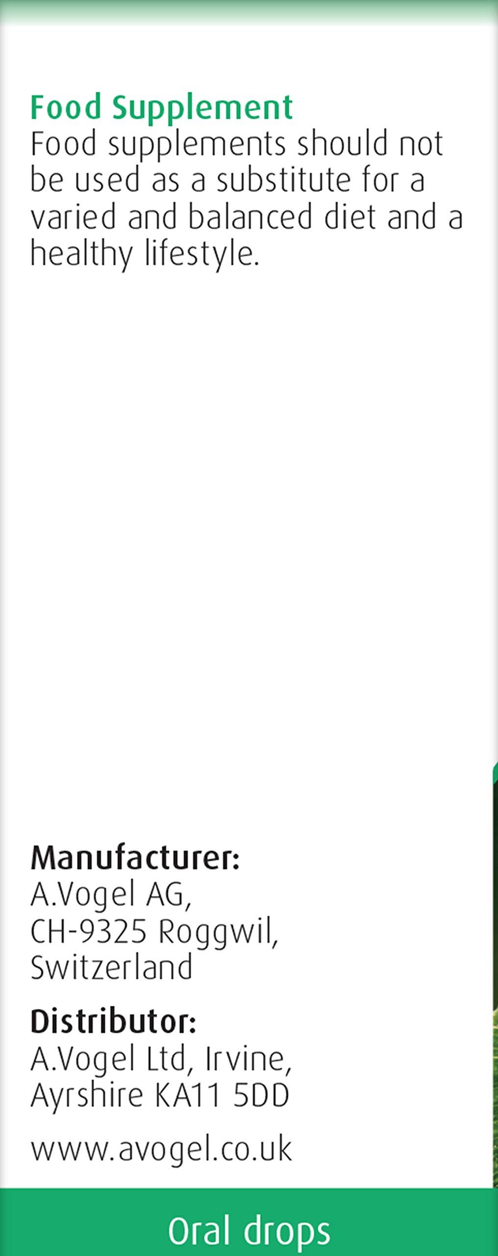 A.Vogel A.Vogel Ginkgo Biloba Drops | Food Supplement | Extract from Fresh Ginkgo Biloba Leaves | Vegan | 50ml