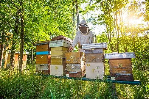 Q honey Pure Raw Honey 1kg Natural Unpasteurised Unfiltered Unheated Forest honey Wildflower Honey