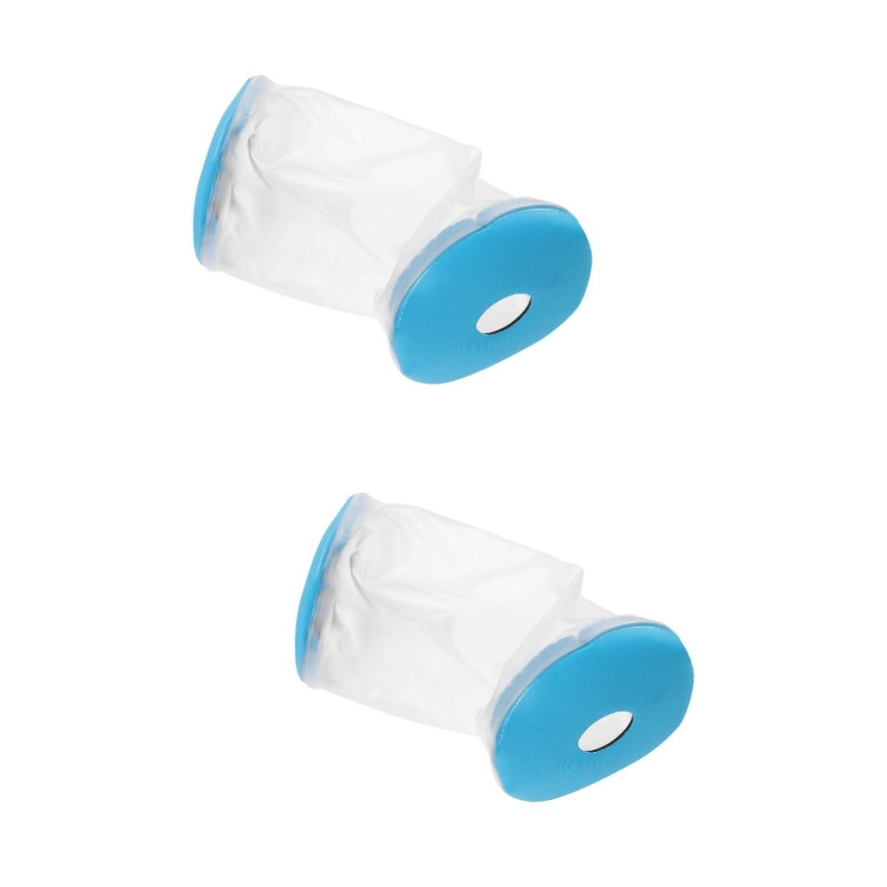 EVAXO Fiji Natural Artesian Water (500 mL, 24 Pack)