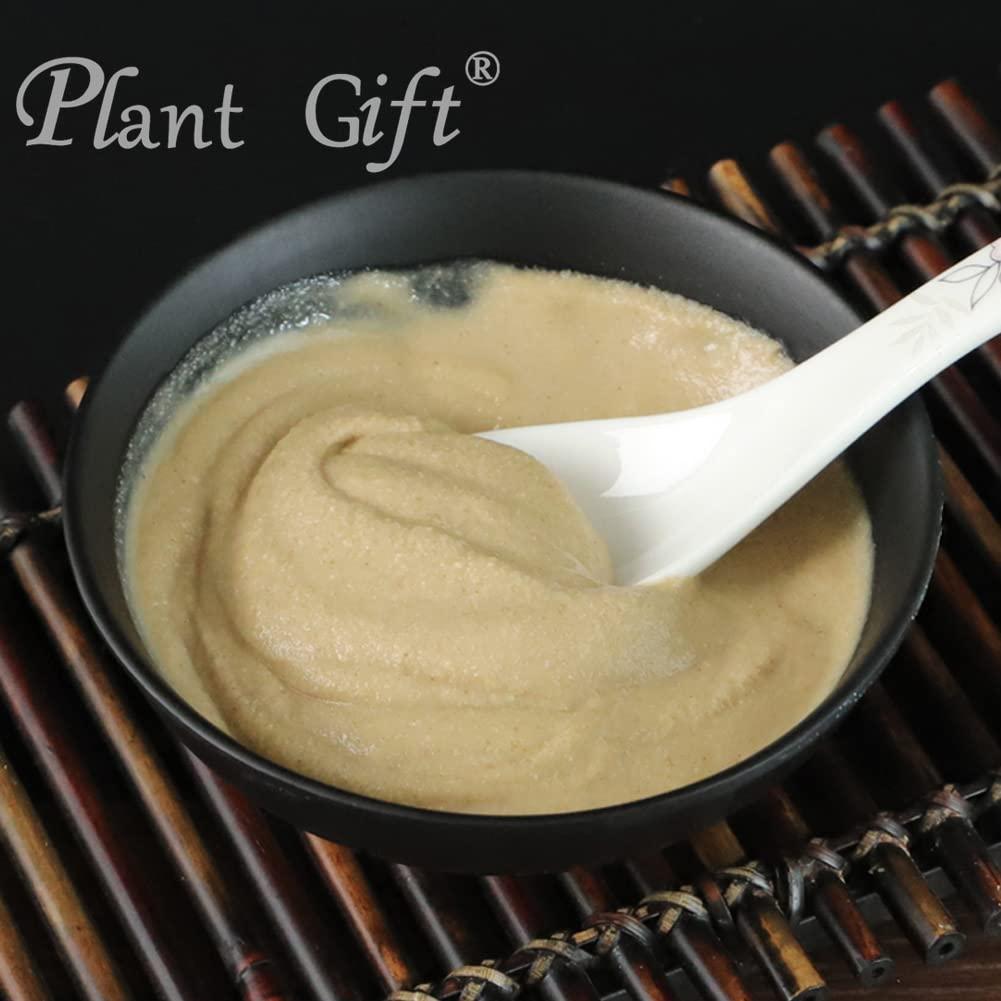 Plant Gift Plant Gift 100% Pure Angelica Dahurica Powder 100G/3.25oz , Non-GMO Powder, No Filler, No additives, Natural Angelica Dahurica Flour, Best Flavor for Drinks, Adds Flavor and Taste