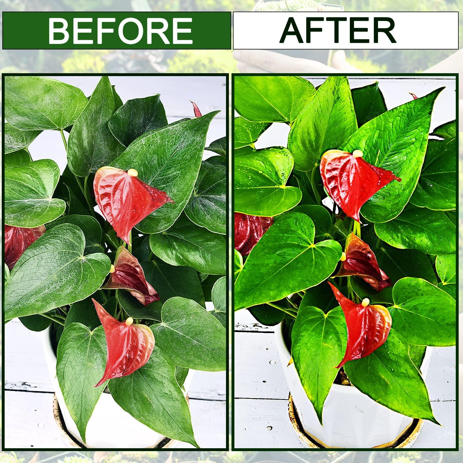 Leopong Leopong Plants Cleaning Wipes for Leaf Shine, Clean and Photosynthesis- Weave Unscented Wipes Perfect Plant Cleaner for Indoor Outdoor Plants | 80 Wipes