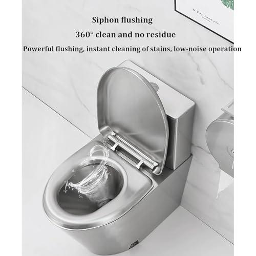 RIYIFANRONG111 Commercial Dual Flush toilet Modern 304 Stainless Steel High-efficiency Water-saving Toilet Urinal,Household Bathroom Small-sized Toilet Adult Urinal, for Bars Shopping Malls Public Places