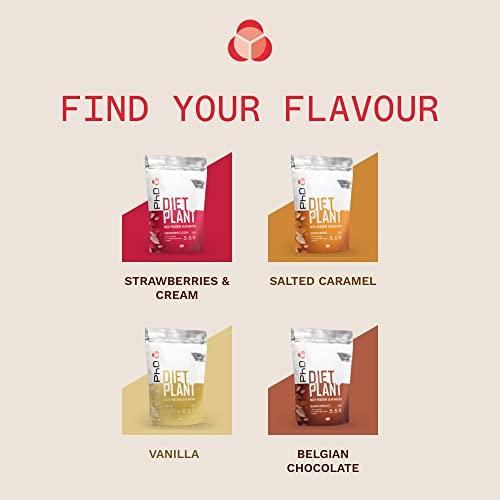 PhD Nutrition PhD Nutrition Diet Plant, Vegan Protein Powder Plant Based, Salted Caramel, High Plant Protein, 20 Servings Per 500g Bag