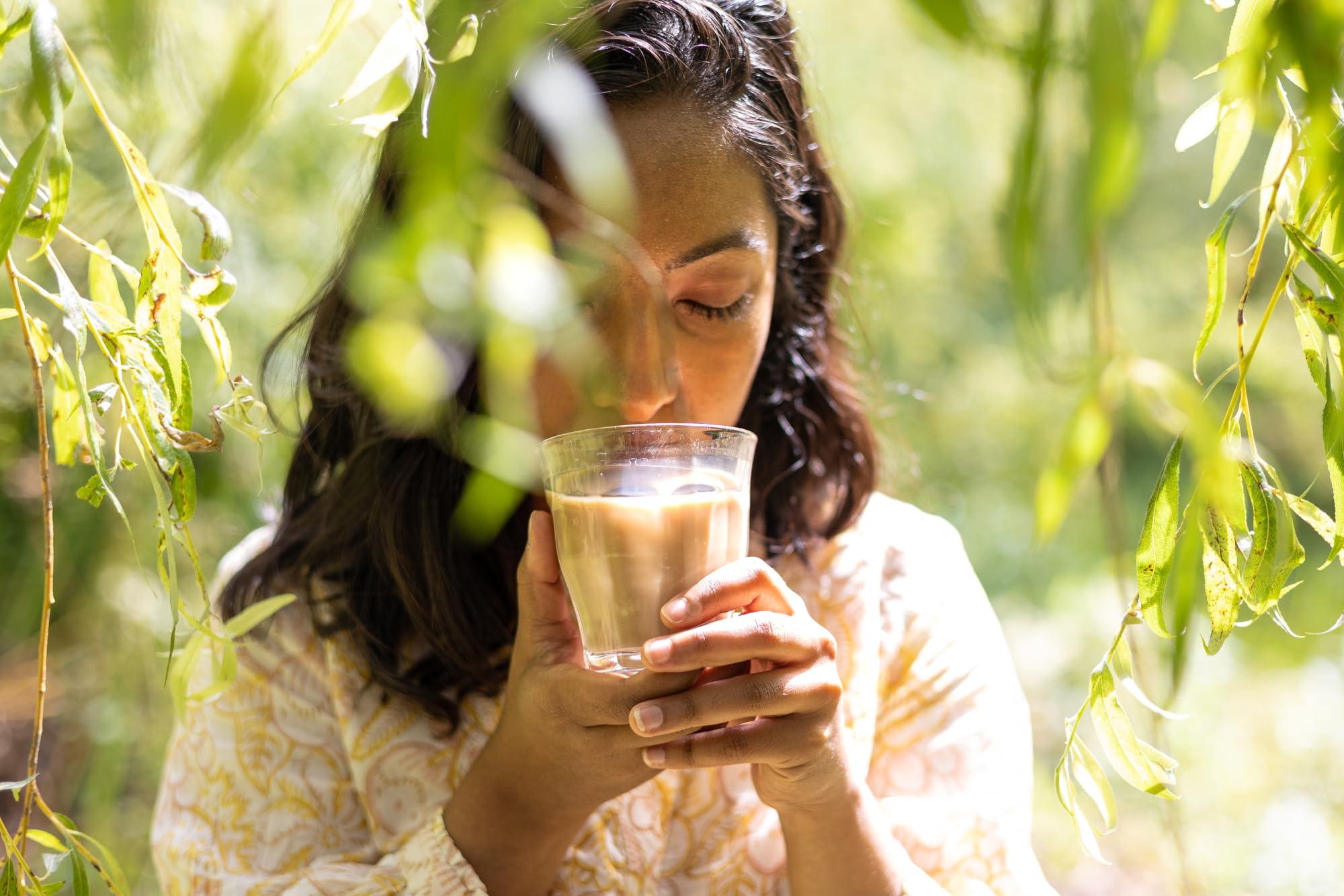 Tea India Tea India Chai Tea Bags (4 Packs of 40 Biodegradable Tea Bags) Rainforest Alliance Certified (Mixed Chai)