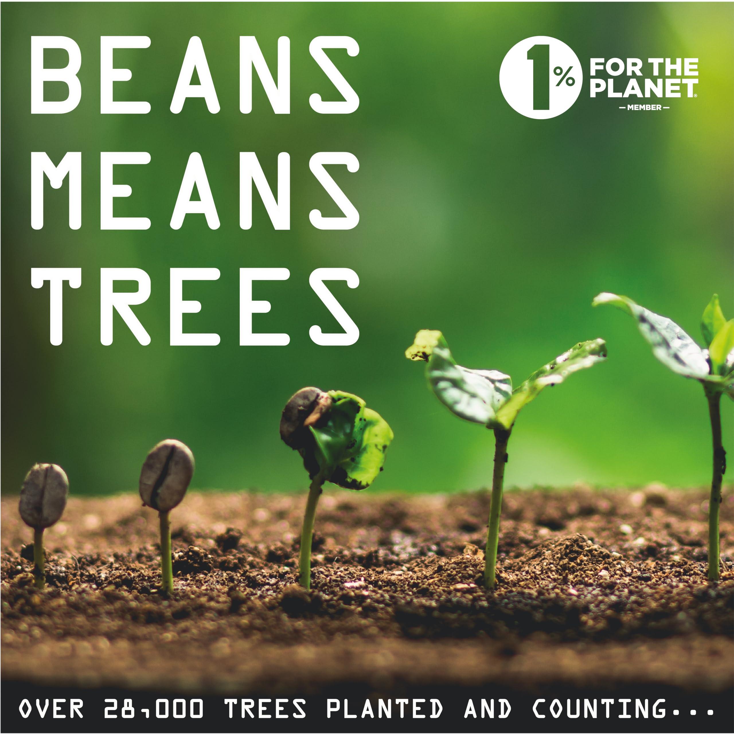 Rave Coffee Rave Coffee - Swiss Water Decaf Blend - Filter Grind Freshly Roasted and Ground Coffee 1Kg