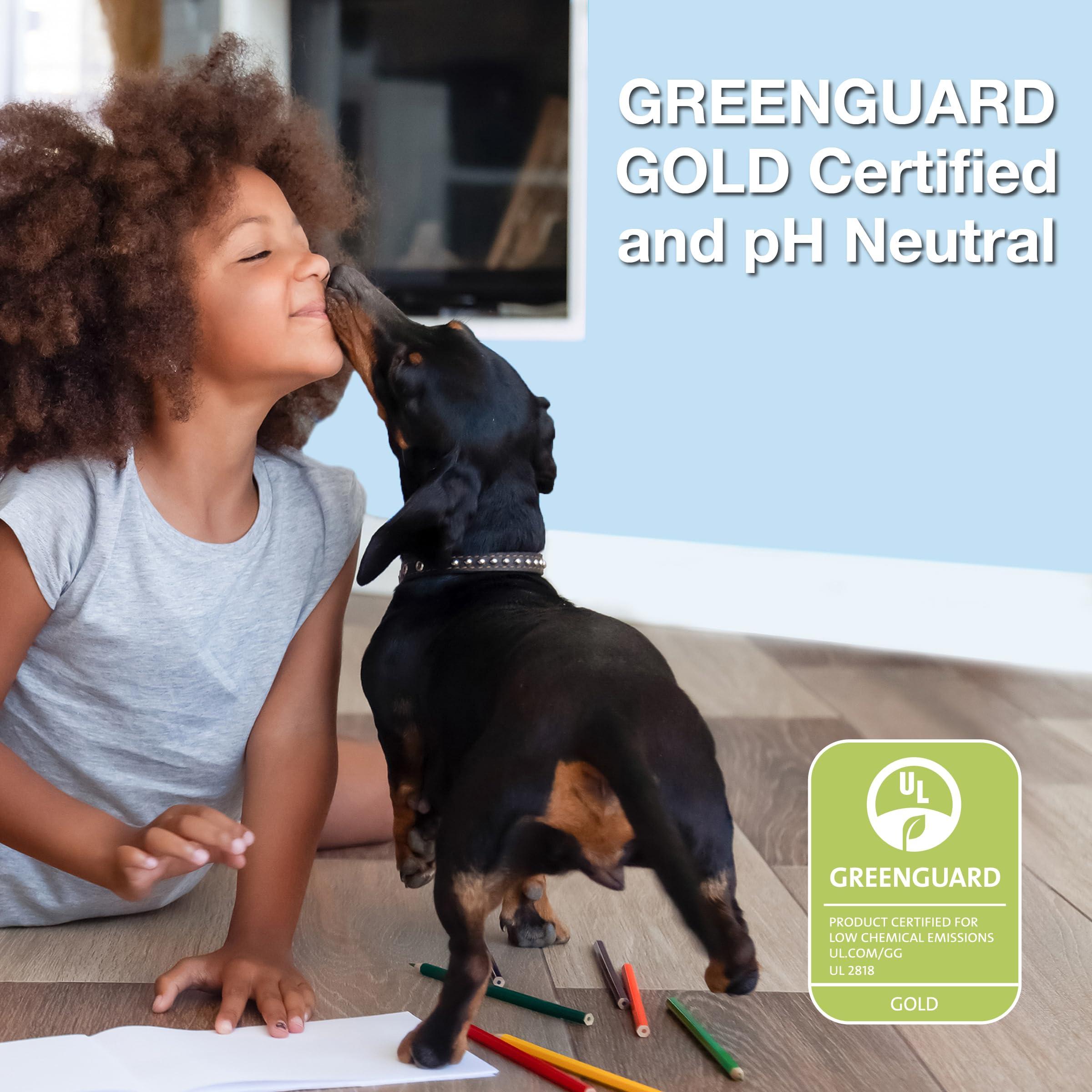 Bona Bona Premium Spray Mops for Floors, Wood, Bona Floor Mops for Cleaning Floors - Incl. 1x Bona Wood Floor Cleaner Liquid Cartridge 850ml & 2x Microfibre Pads