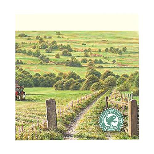 Taylors of Harrogate Yorkshire Tea Bags, 240 each