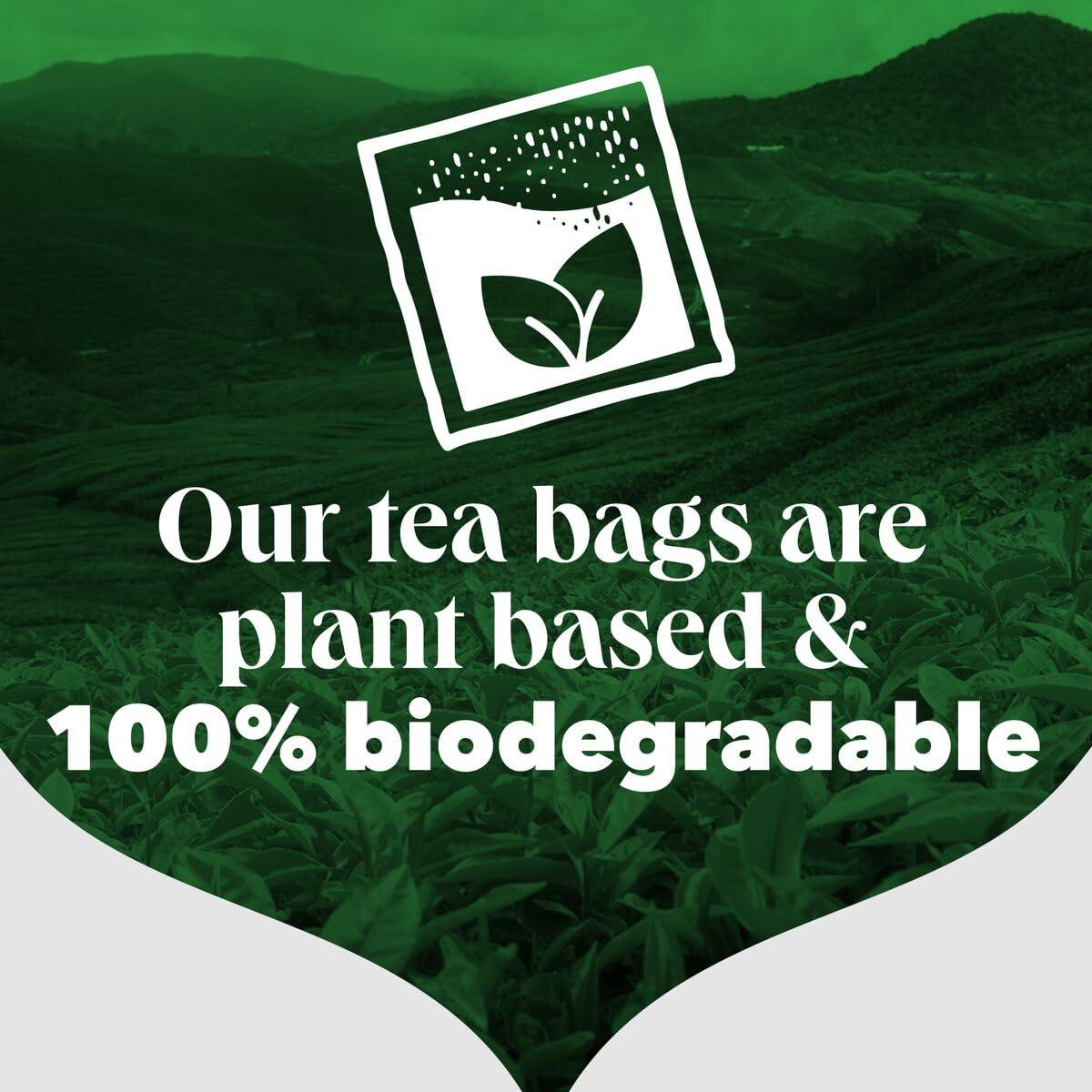 PG Tips PG Tips Decaf | Black Tea Bags Bulk | Indulgent, Velvety & Rich Black Tea | Perfect Flavour Release | Decaffeinated | 6 Packs | 420 Plant Based Biodegradable Decaf Tea Bags