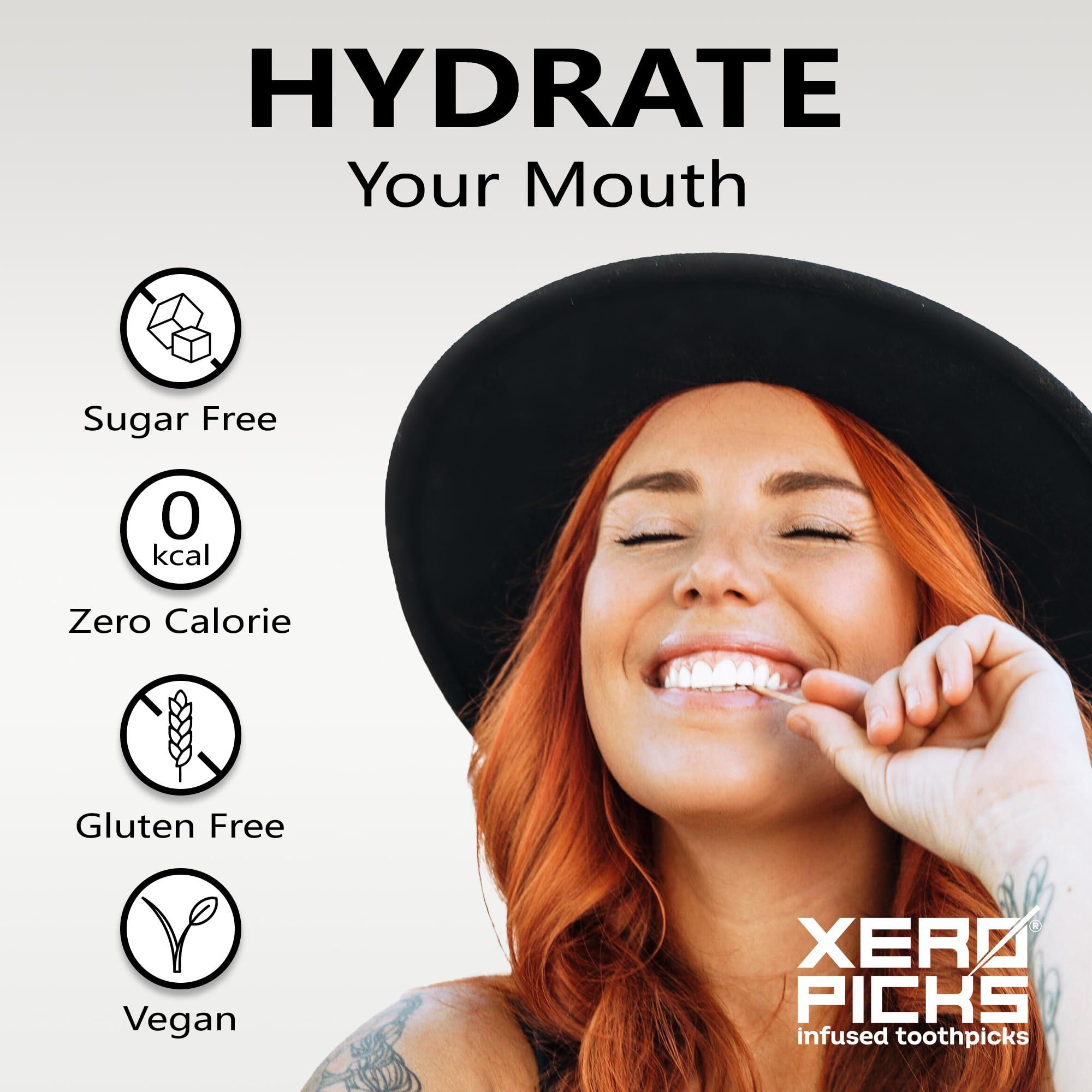 Xero Picks Xero Picks Quit Infused Flavored Toothpicks - Craving Relief (3 Pack of 20 Picks per, Pumpkin Spice) Non-GMO Kosher Vegan