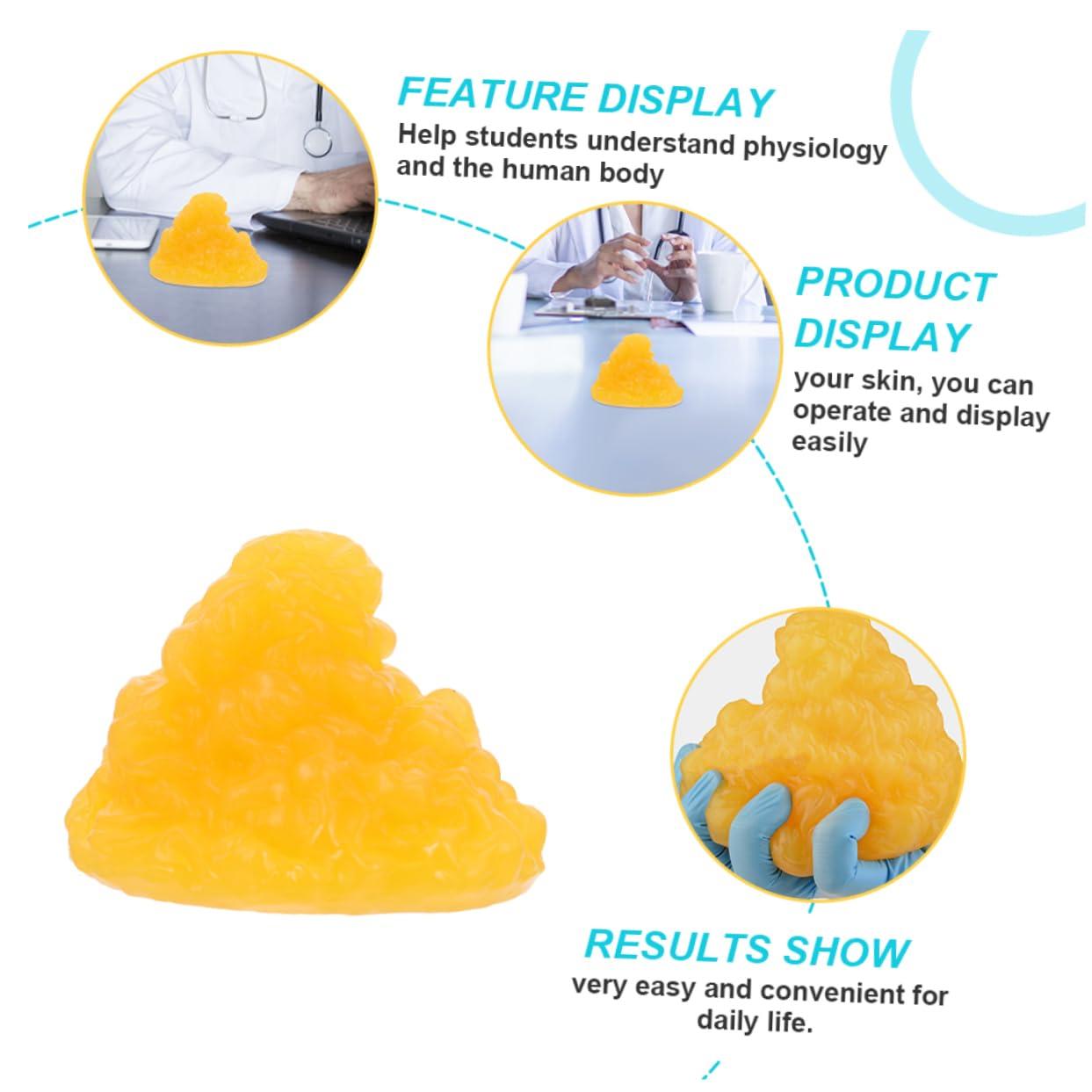 Mobestech Mobestech Fat Model 5 Pound Fat Anatomical Model Fat Male Models Fat 1lb Examination Supplies Maniquin 1 Pound Fat 1 Pound of Fat Teaching Model 5lb Fat Manikin Body Student Component TPE