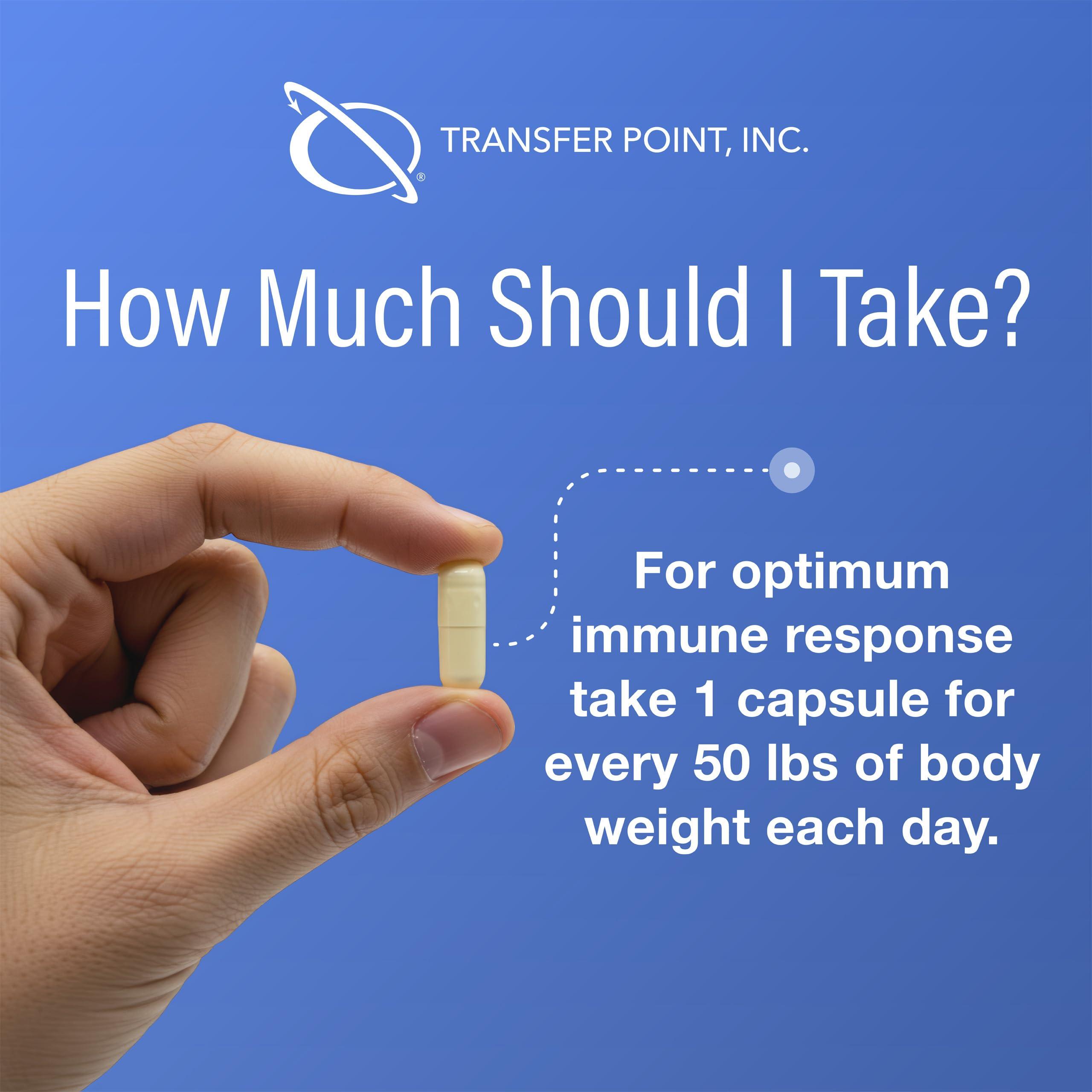 Transfer Point Transfer Point Beta 1, 3-D glucan 500mg 60 Capsules