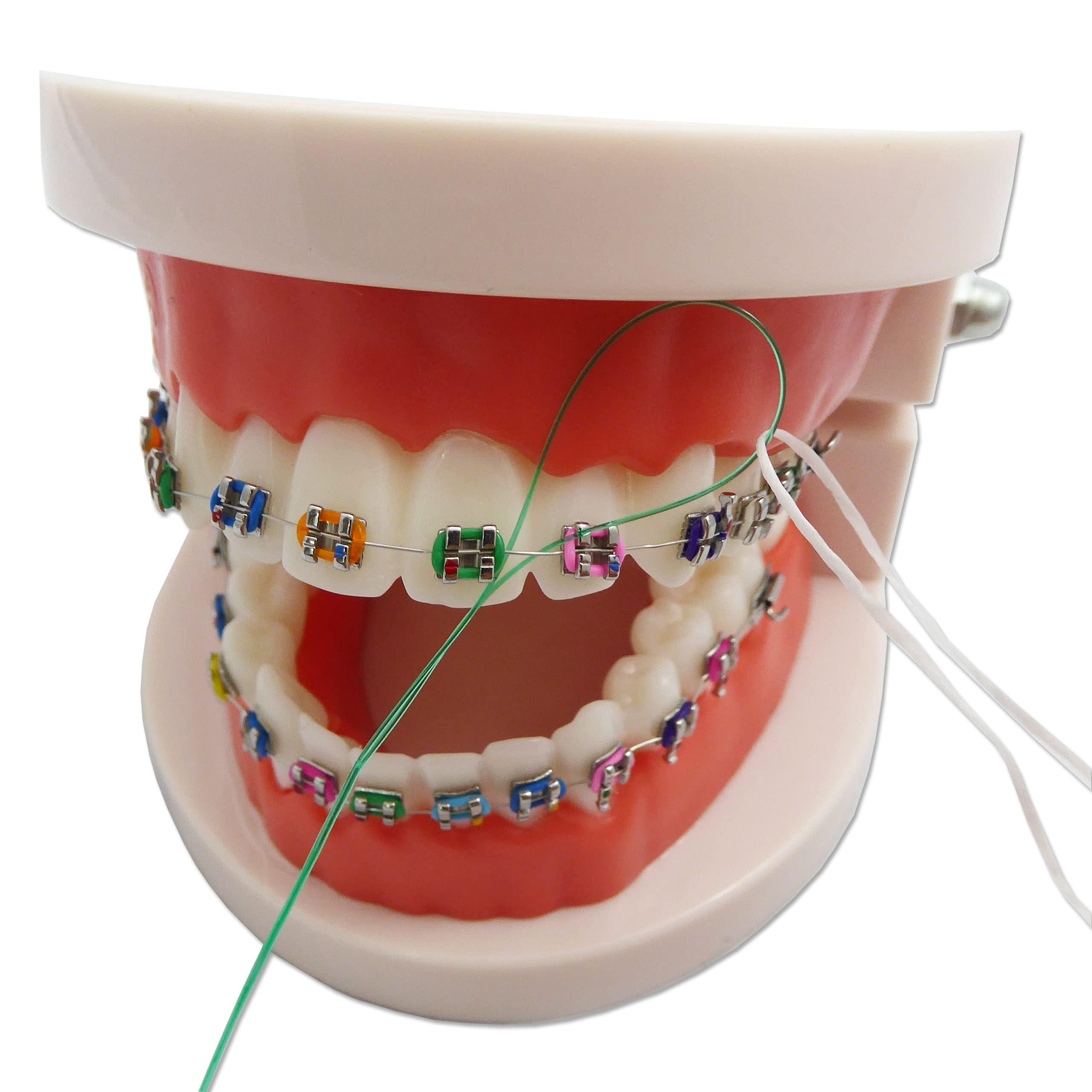 Dental Aesthetics Floss Threaders x 50 ~ Dental Floss Holders for Cleaning Between Orthodontic Braces & Bridges