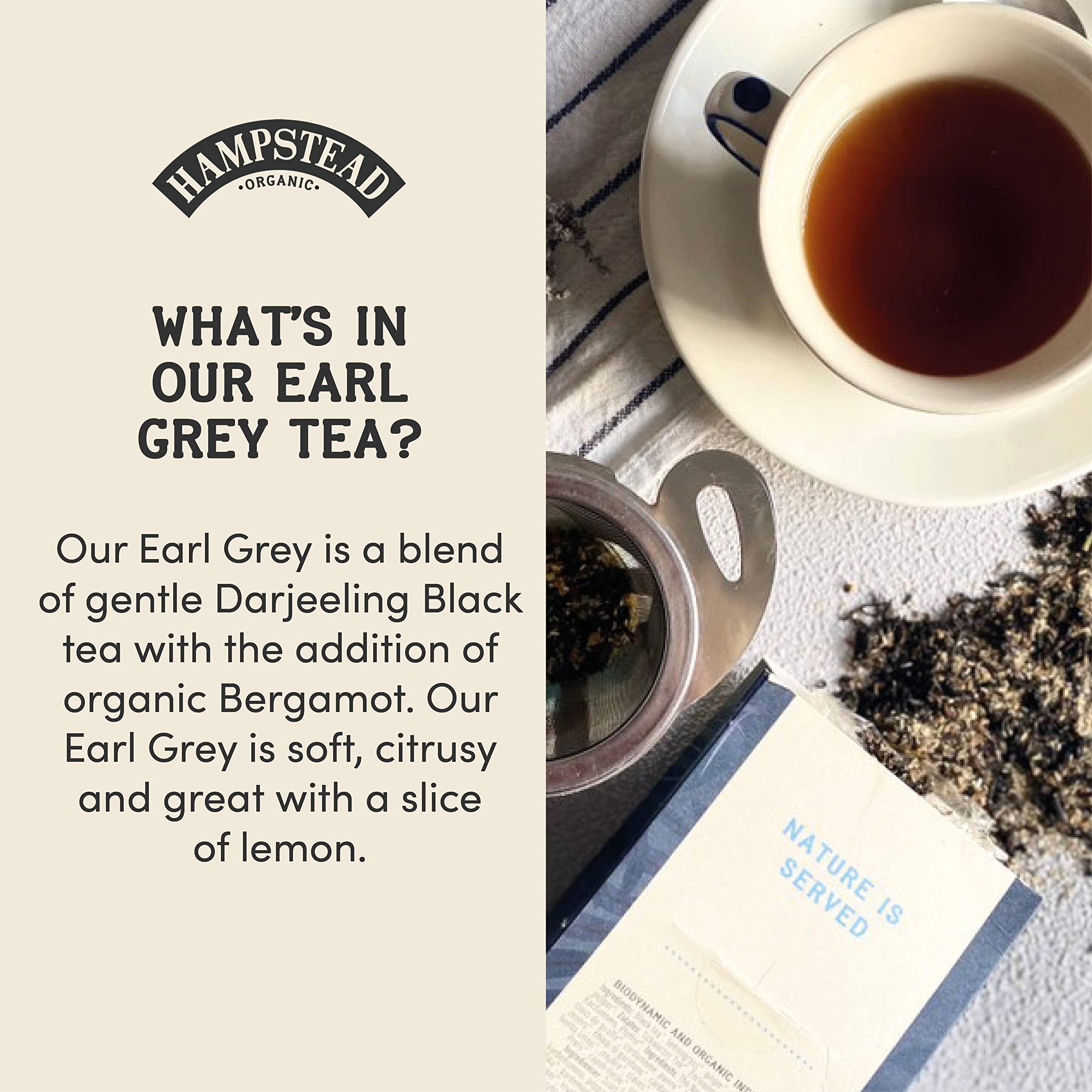 Hampstead Tea Hampstead Organic Earl Grey Loose Tea Pouch 100 g (Pack of 6) | Plastic Free | 100% Organic
