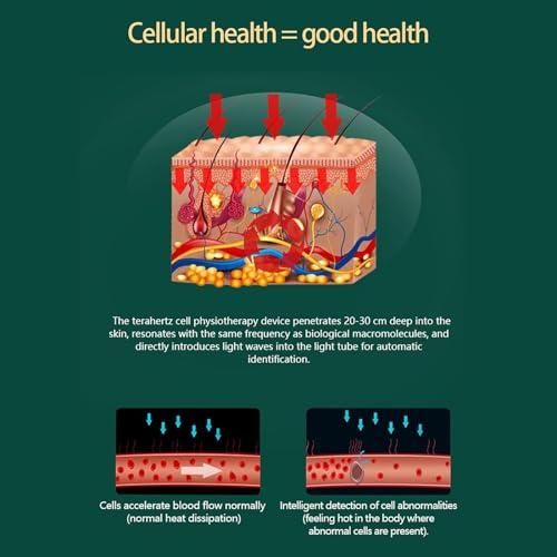 FreshCart Basics Terahertz Physiotherapy Device for Home Salon Spa Club - Light Wave Energy Thermal Therapy Device, Relieve Body Pain, Dredge Meridians, Repair Body