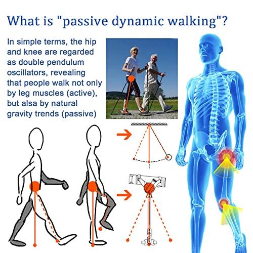 BiiKoon Walking Aid Bionic Body Power Walkers Leg Rehabilitation Training Assisted Lower Limb Mobility Standing Walking Aids for Postoperative Non-powered (Color : Both legs, Size : L)