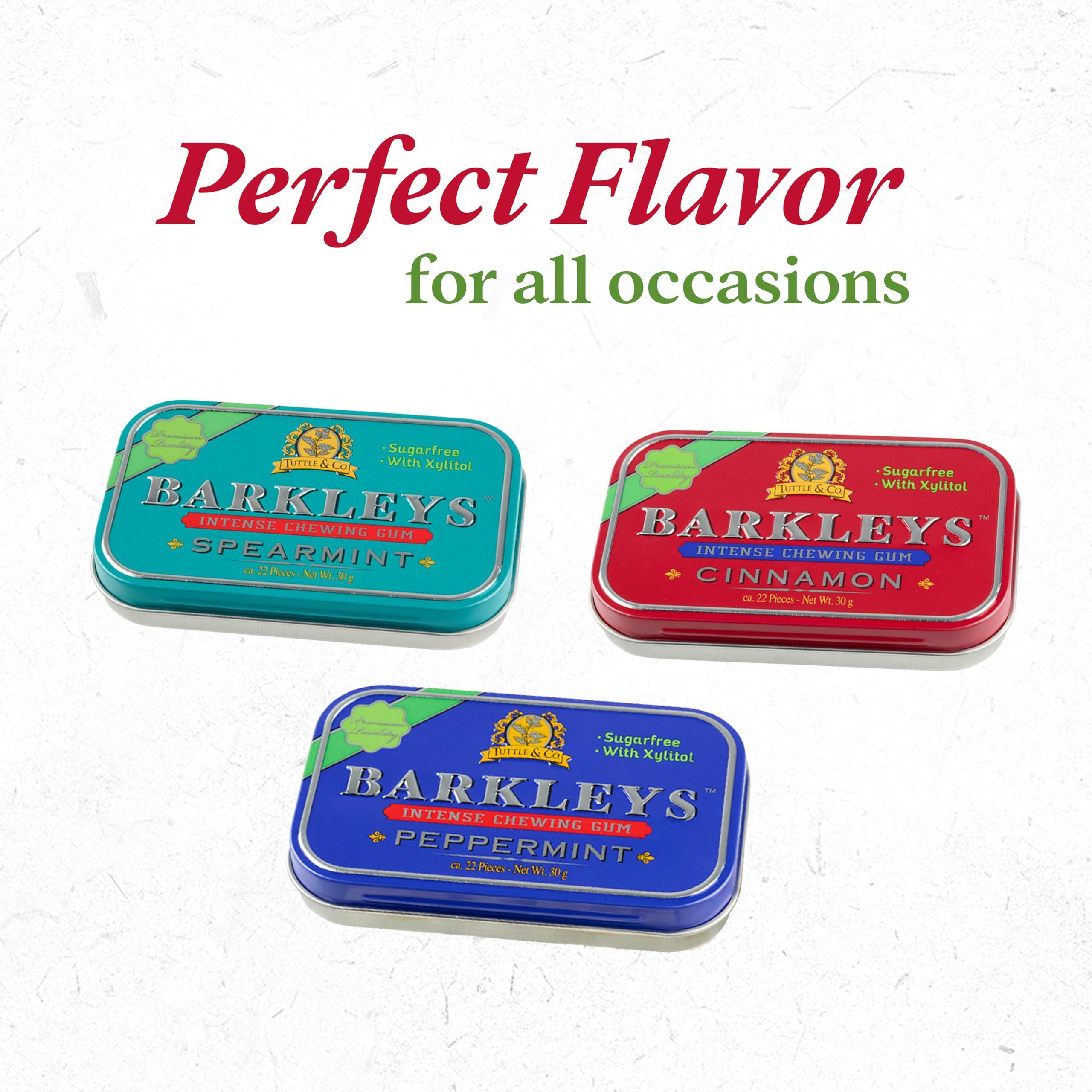 Barkleys Barkleys Sugar Free Chewing Gum with Cinnamon Gum 9 x 30 g