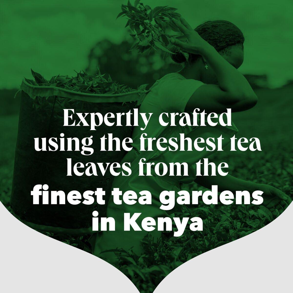 PG Tips PG Tips Loose Black Tea Leaves, Bulk Pack of 12 (Total 960 Cups of Tea)