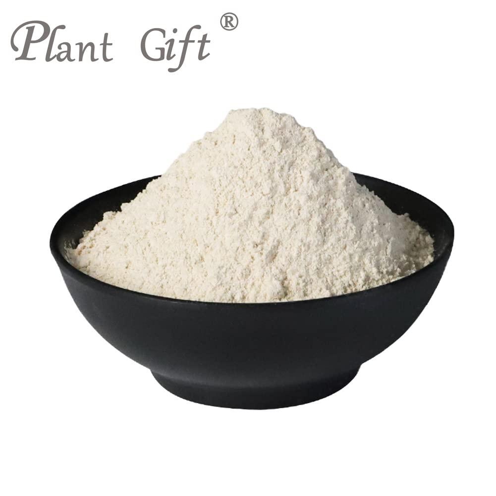 Plant Gift Plant Gift 100% Pure Angelica Dahurica Powder 100G/3.25oz , Non-GMO Powder, No Filler, No additives, Natural Angelica Dahurica Flour, Best Flavor for Drinks, Adds Flavor and Taste
