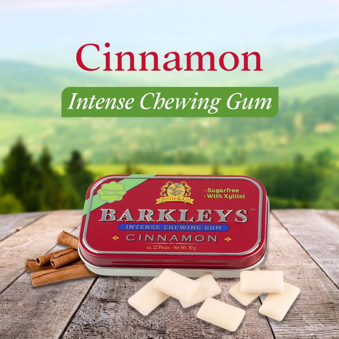 Barkleys Barkleys Sugar Free Chewing Gum with Cinnamon Gum 9 x 30 g