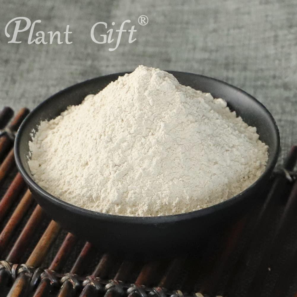 Plant Gift Plant Gift 100% Pure Angelica Dahurica Powder 100G/3.25oz , Non-GMO Powder, No Filler, No additives, Natural Angelica Dahurica Flour, Best Flavor for Drinks, Adds Flavor and Taste