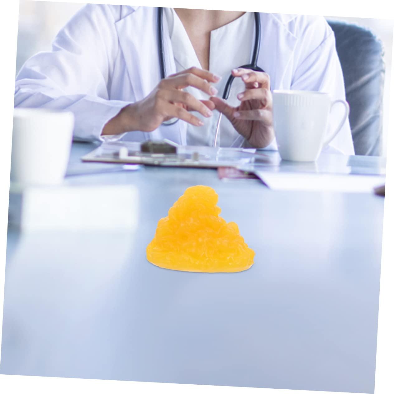 Mobestech Mobestech Fat Model 5 Pound Fat Anatomical Model Fat Male Models Fat 1lb Examination Supplies Maniquin 1 Pound Fat 1 Pound of Fat Teaching Model 5lb Fat Manikin Body Student Component TPE