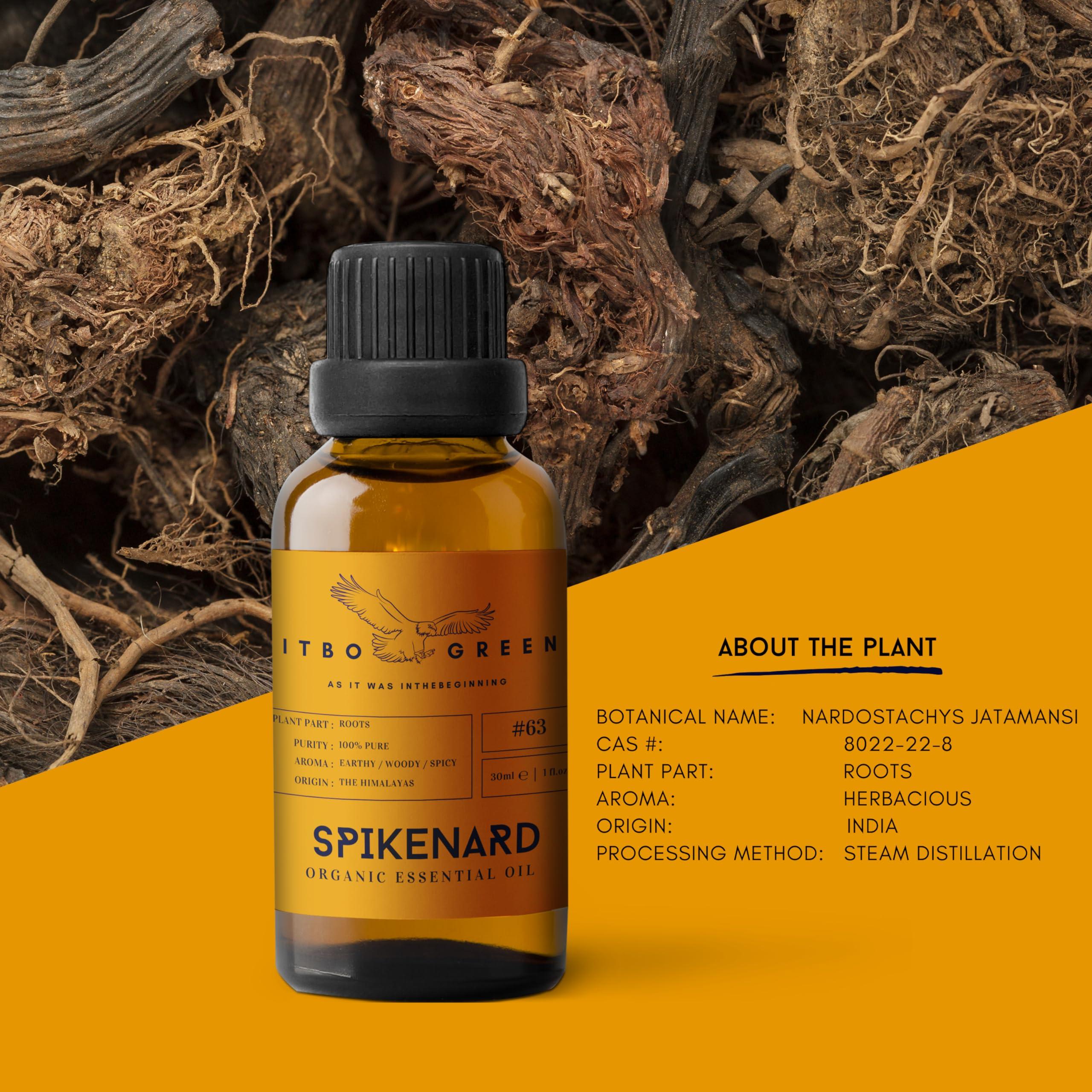 ITBO LONDON Organic Spikenard Essential Oil- Pure Essential Oil for Diffuser- Organic Aromatherapy Oil- Spiritual Awakening, Strength Boost & Confidence- Refreshing Aroma Diffuser Oil- Bath Oil- 30ml/1Oz